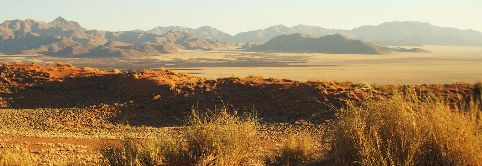Namibia: dune del Namib - Spazi d’Avventura Le immense dune del deserto del Namib, Namibia