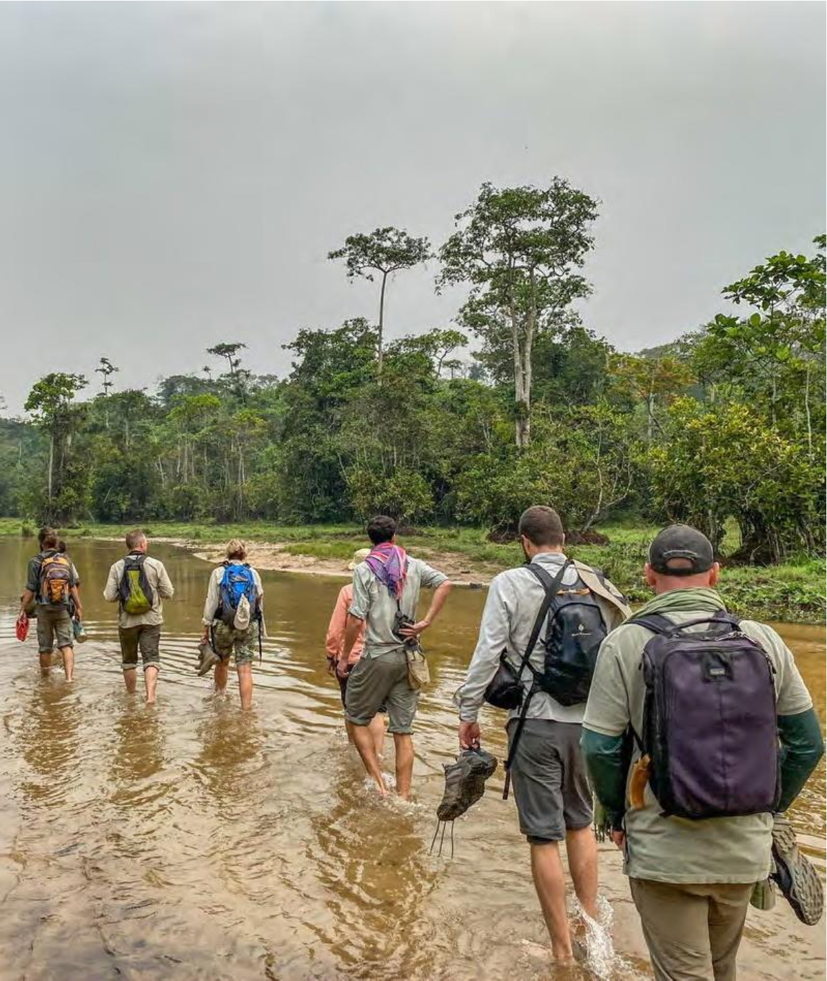 Dzanga– Sangha National Park-3